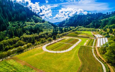 July 11 Community Club Run moved to Hydrangea Ranch!