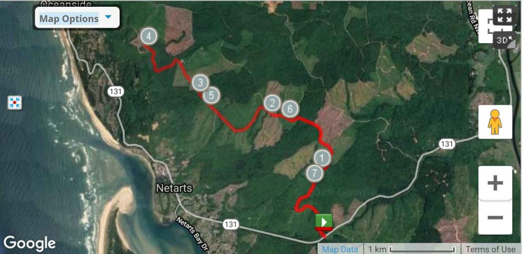 Eckloff Logging Rd. North 8 miles out & back