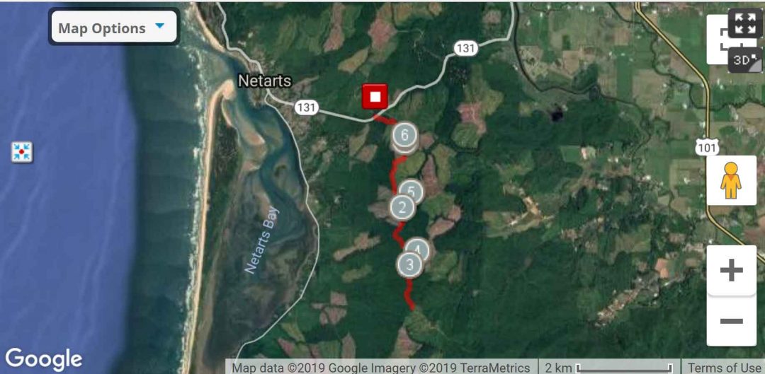 Eckloff Logging Rd. South 7.11 miles out & back