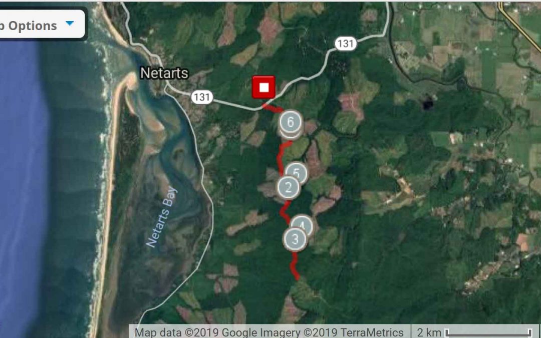 Eckloff Logging Rd. South 7.11 miles out & back